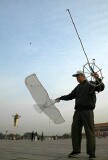 Kite flying (fishing in the sky?), Tiannanmen Square, Beijing