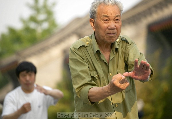 Performing Tai Chi in the Gardens of the Forbidden City, Beijing