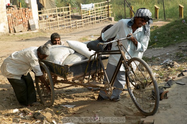 Smiling men pushing a heavy load on a tricycle, Delhi