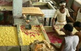 Men dying paper with flower petals, Jaipur