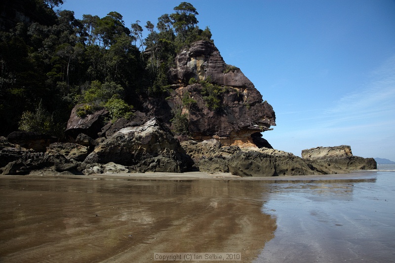 Bako National Park, Sarawak, East Malaysia (Borneo)