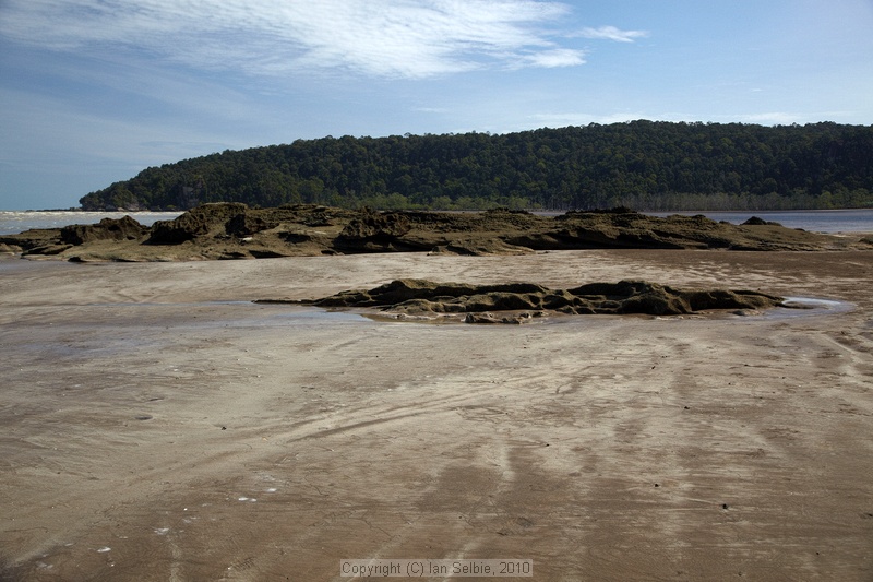Bako National Park, Sarawak, East Malaysia (Borneo)