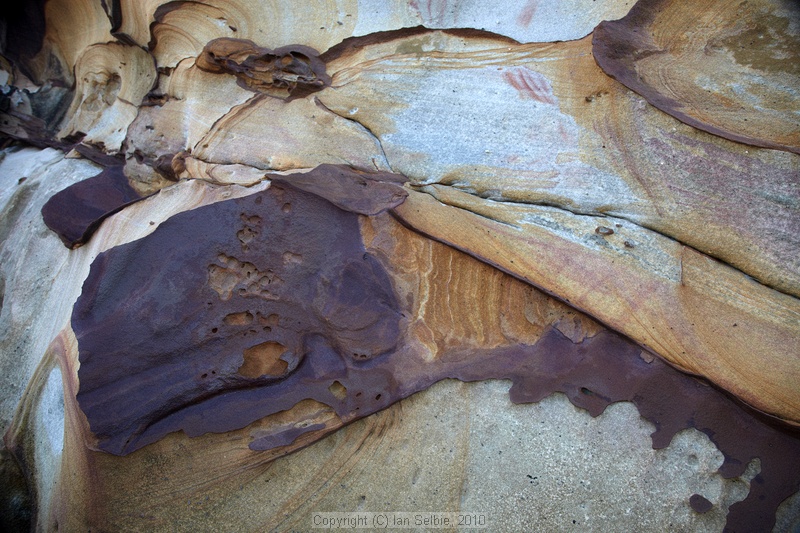 Iron in Sandstone, Bako National Park, Sarawak, East Malaysia (Borneo)