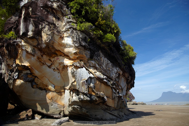 Bako National Park, Sarawak, East Malaysia (Borneo)