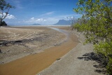 Mangroves, Bako National Park, Sarawak, East Malaysia (Borneo)
