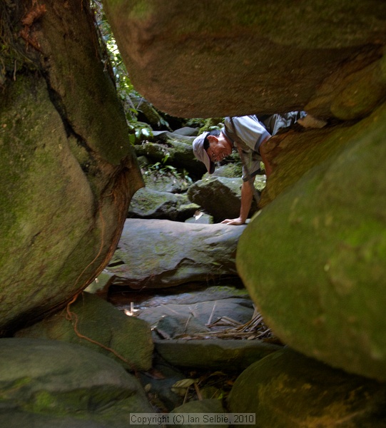 Bako National Park, Sarawak, East Malaysia (Borneo)