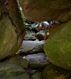Bako National Park, Sarawak, East Malaysia (Borneo)