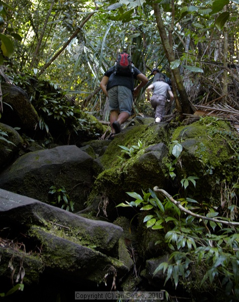 Bako National Park, Sarawak, East Malaysia (Borneo)