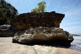 Bako National Park, Sarawak, East Malaysia (Borneo)