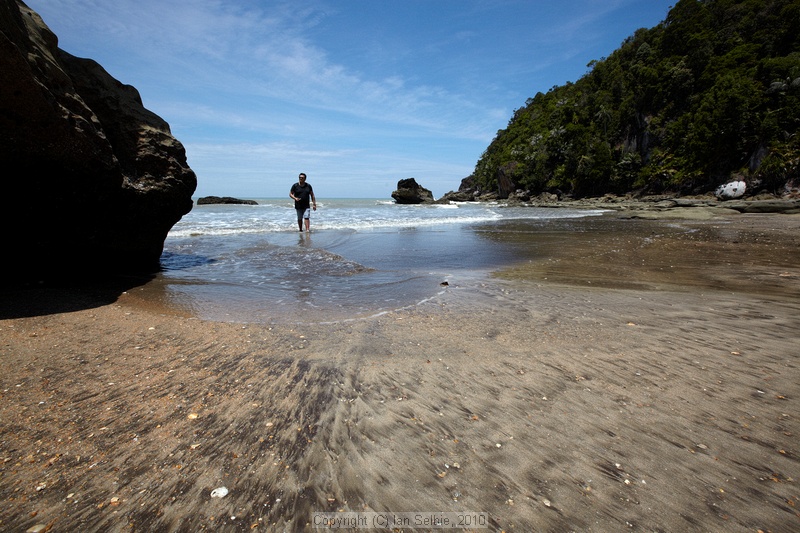 Bako National Park, Sarawak, East Malaysia (Borneo)