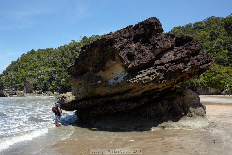 Bako National Park, Sarawak, East Malaysia (Borneo)