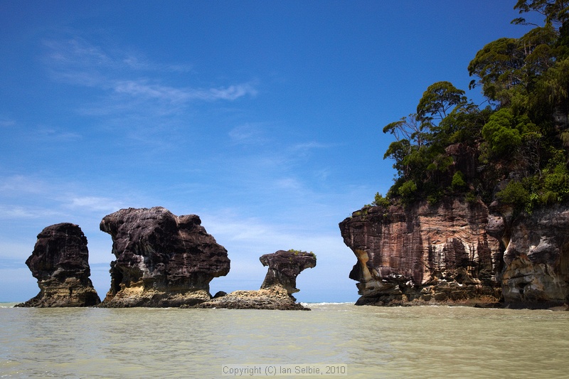 Bako National Park, Sarawak, East Malaysia (Borneo)