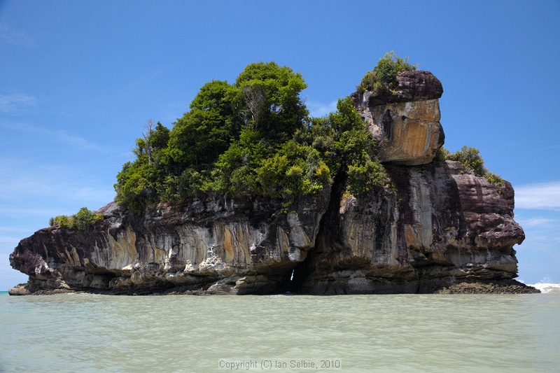 Bako National Park, Sarawak, East Malaysia (Borneo)
