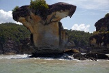 Cobra Rock, Bako National Park, Sarawak, East Malaysia (Borneo)