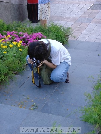 City centre, Beijing, China