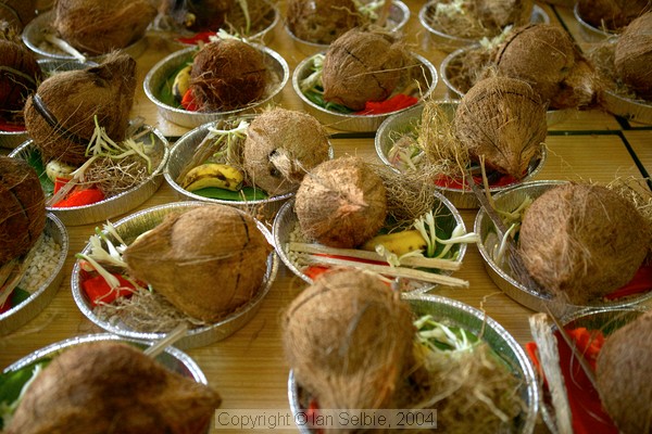 Coconut offerings for the birthday of Lord Ganesha at Sri Senpaga Vinayagar Temple, Ceylon Road, Singapore