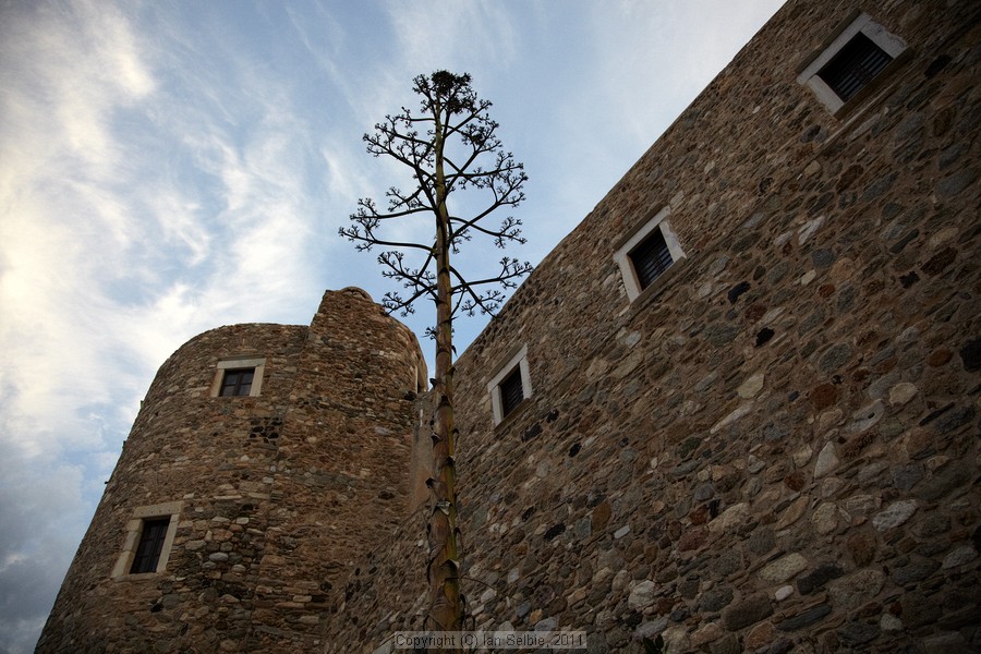 Island of Naxos, Greece, 2011