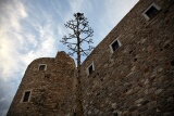 Island of Naxos, Greece, 2011