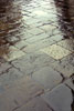 Wet paving stones,   Via di San Giuseppe