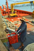 Men on the deck of the trawler pass plastic baskets of freshly-caught fish up the workmen to process