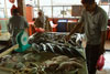 Selling fish at the Mersing wet market