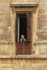 Detail of the rather grumpy old lady has seen it all before, looking over the Piazza Dela Rotonda towards the Pantheon