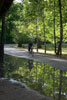 Cyclist and forest reflected in a pool of last night's rain