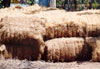 Coir Making - Bales of separated coir