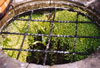The Chalice Well Head, Chalice Wells, Glastonbury