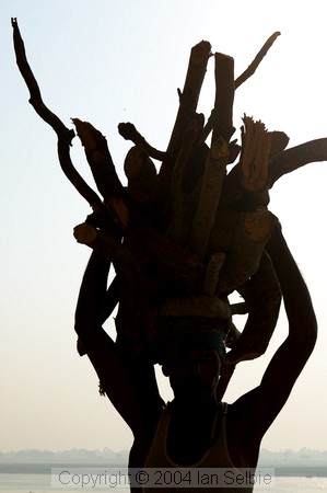 Carrying the wood up from the boats