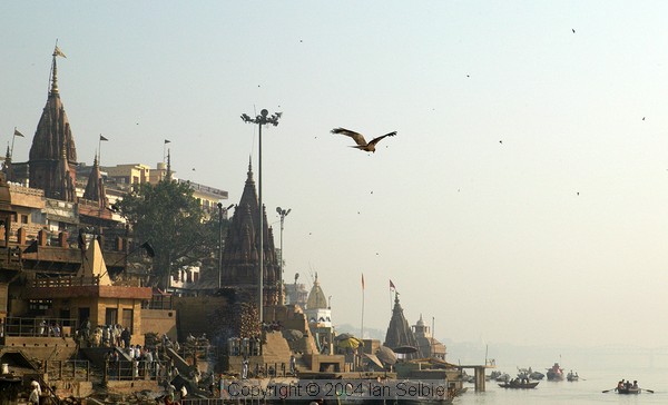 As we approach the Manikarnika Ghat from the south, eagles soar above the activity below