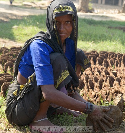 In the countryside near Varanasi: making dung pats to dry in the sun for fuel