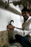 Weaver, Jaipur