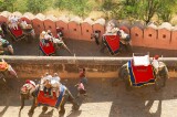 Elephants, Amber Palace, Jaipur