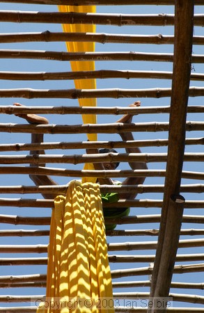 Man on top of the frame hanging freshly dyed cloth to dry, Jaipur