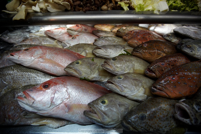"Top Spot" Food Court, Kuching, Sarawak, East Malaysia (Borneo)