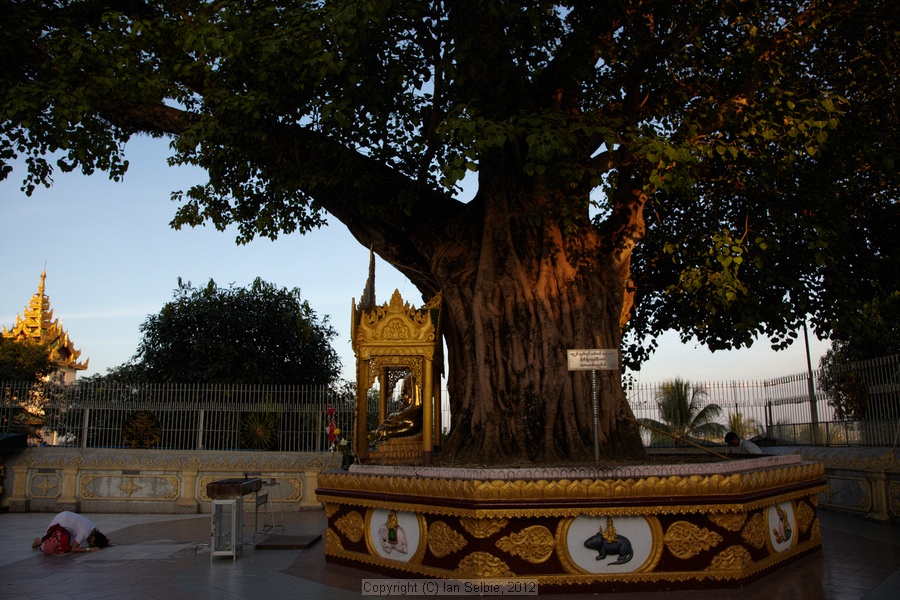 Shwedagon Pagoda - Myanmar, 2012