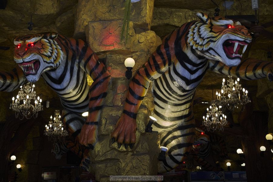 Daily life, Phuket, Thailand