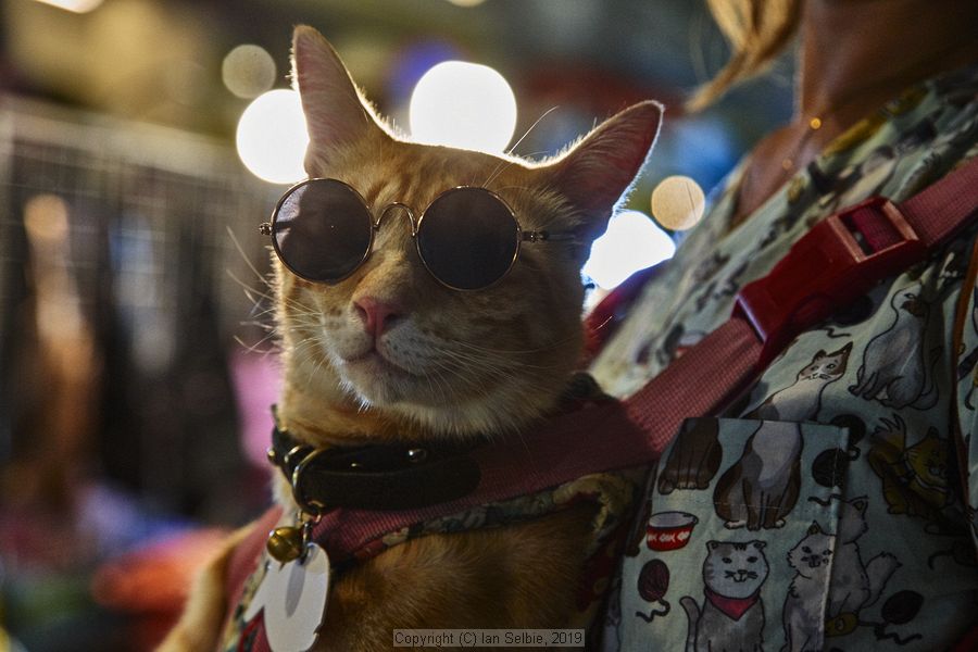 Night life, Phuket City, Phuket, Thailand