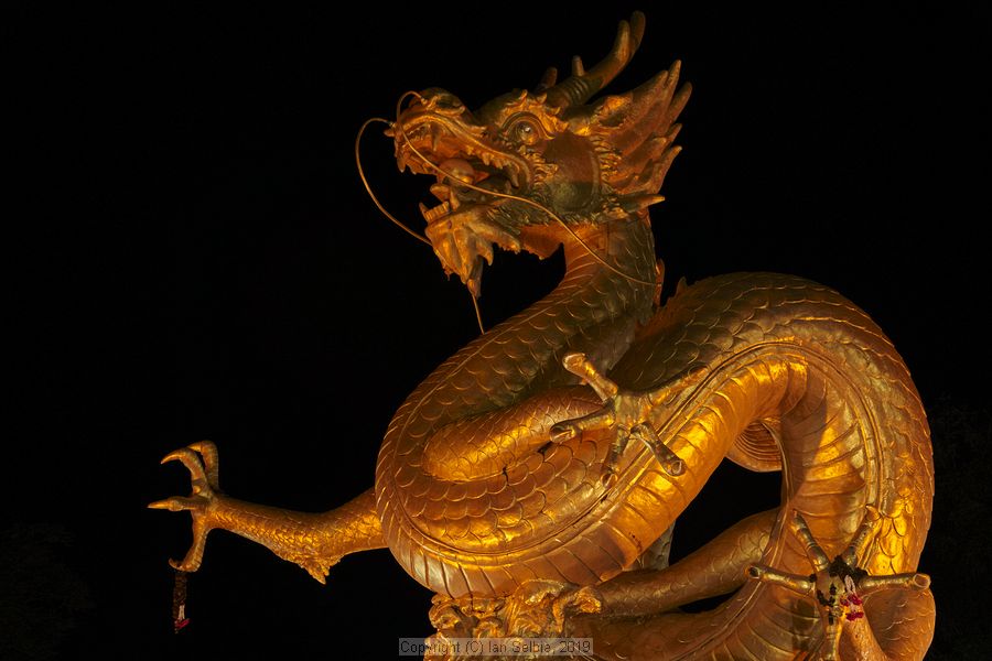 Hai Leng Ong Statue (Golden Dragon), Phuket City, Phuket, Thailand