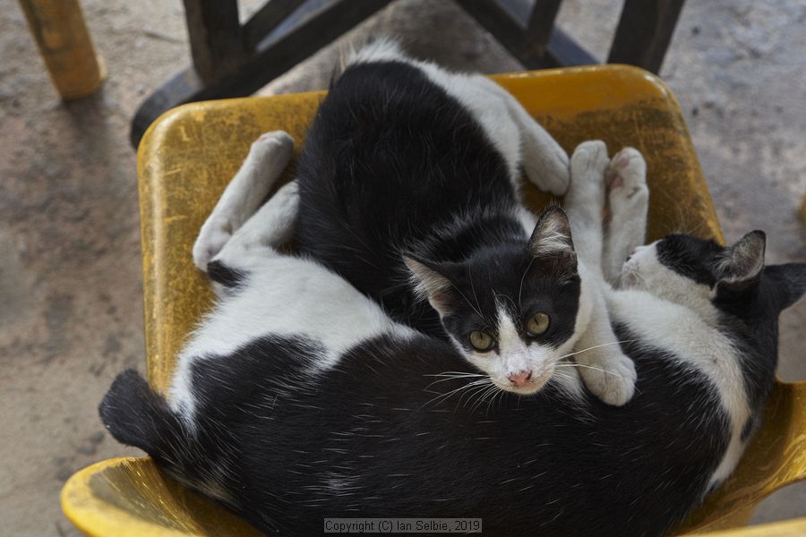 Phra Phutta Ming Mongkol Akenakiri (Great Buddha) Temple, Phuket, Thailand