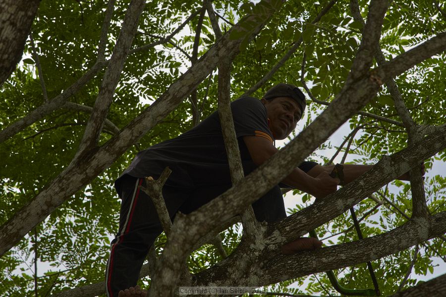 Phra Phutta Ming Mongkol Akenakiri (Great Buddha) Temple, Phuket, Thailand