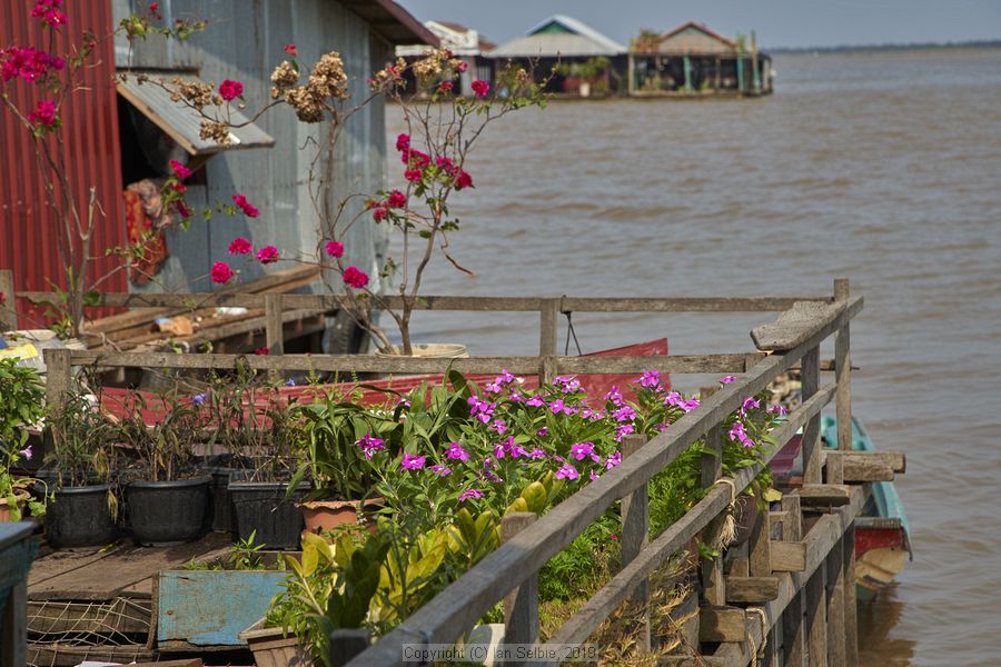 Fishing community in Kampong Phluk on Tonle Sap lake in Cambodia
