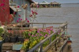 Fishing community in Kampong Phluk on Tonle Sap lake in Cambodia