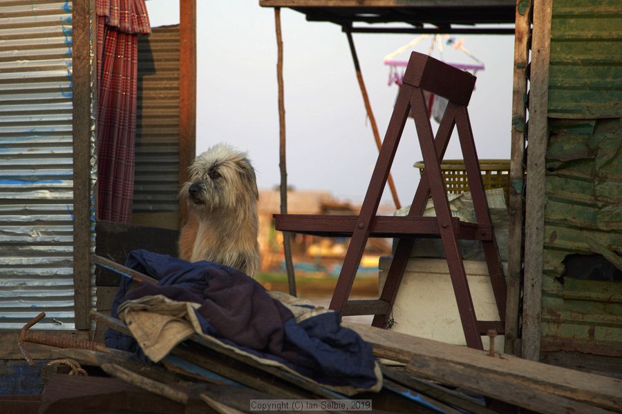Fishing community in Chong Khneas on the Siem Reap river and floating on the Tonle Sap lake in Cambodia