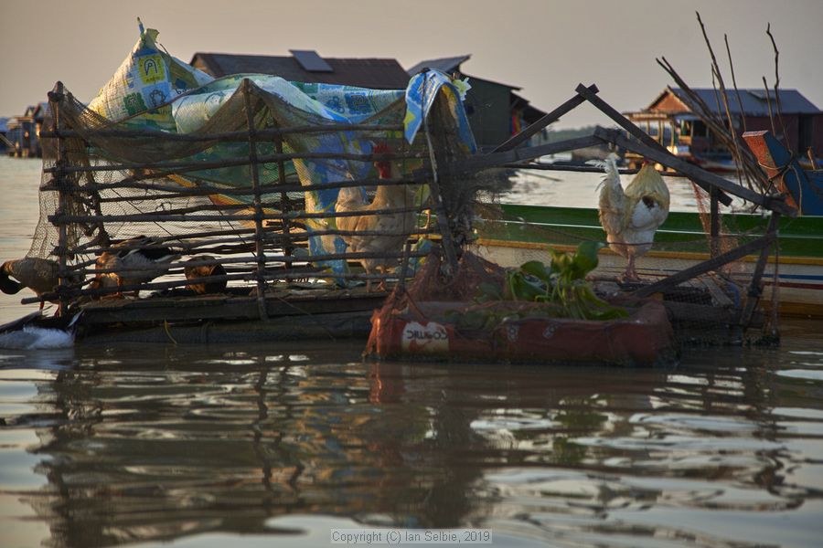 Fishing community in Chong Khneas on the Siem Reap river and floating on the Tonle Sap lake in Cambodia