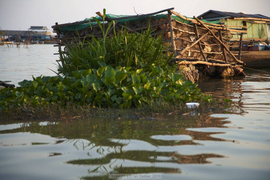 Fishing community in Chong Khneas on the Siem Reap river and floating on the Tonle Sap lake in Cambodia