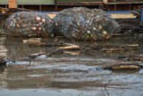 Fishing community in Chong Khneas on the Siem Reap river and floating on the Tonle Sap lake in Cambodia
