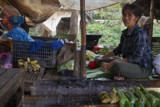 Village and market life in and around Siem Reap, Cambodia