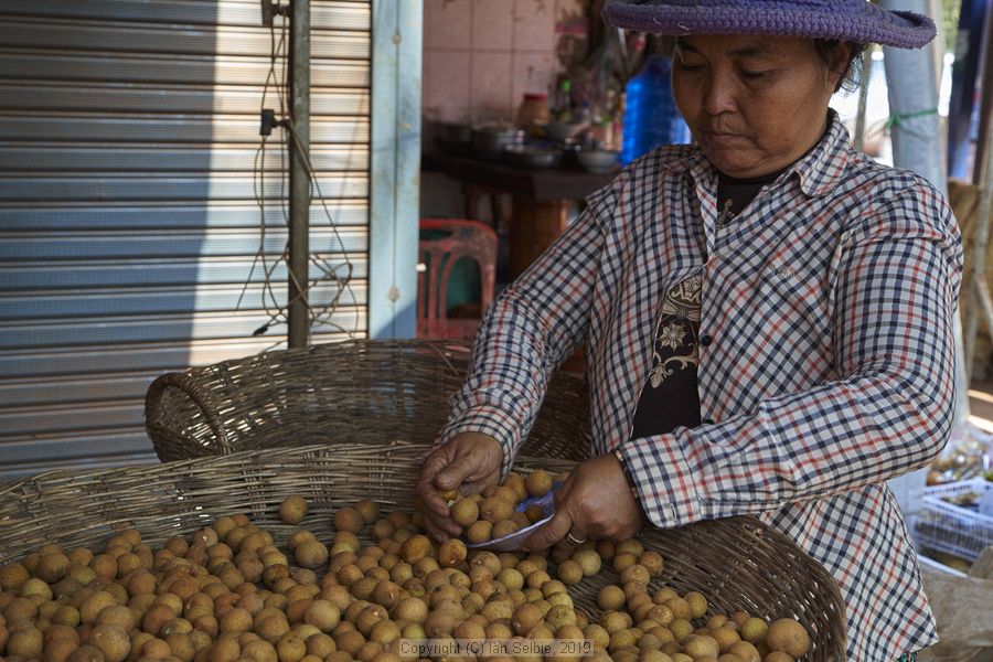 Village and market life in and around Siem Reap, Cambodia